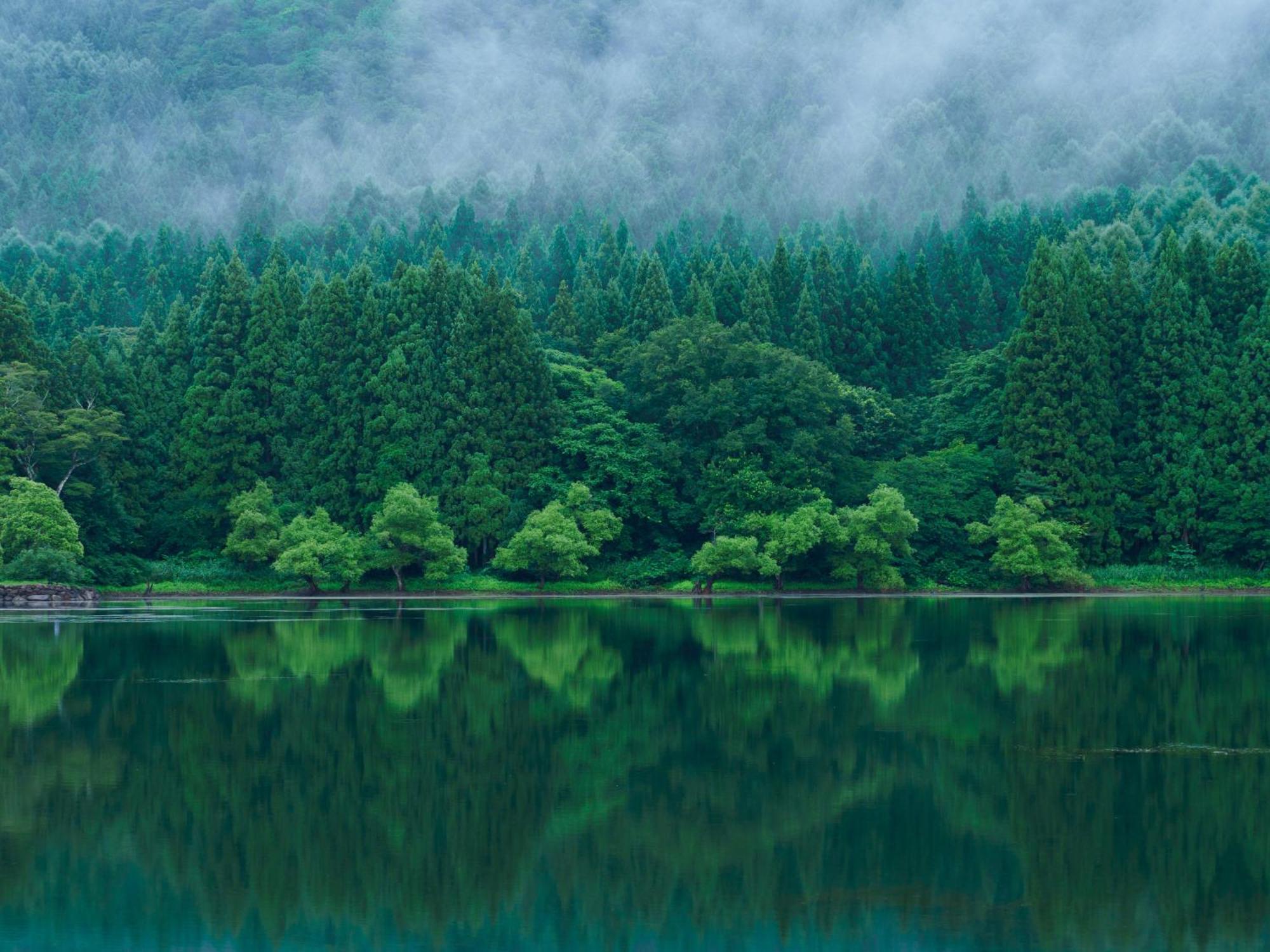 Hokuryuko Hotel North Nagano Nozawaonsen Dış mekan fotoğraf